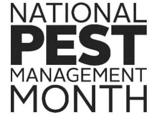 Pest Proofing Chicago