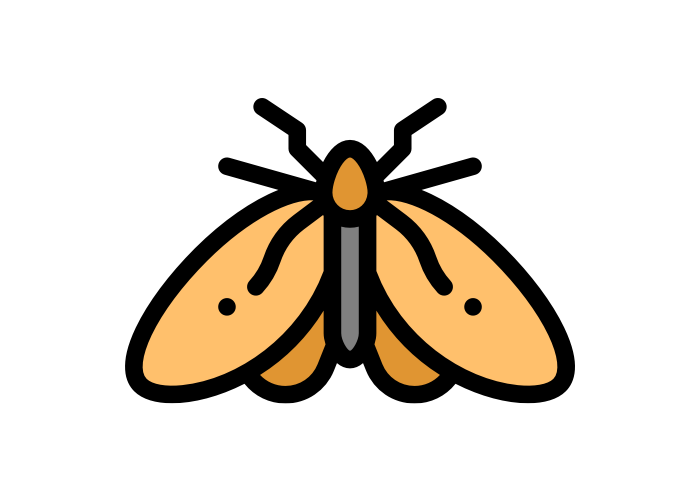 OCCASIONAL INVADERS cartoon moth from Rose Pest Solutions