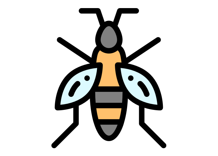 wasp cartoon wasp from Rose Pest Solutions