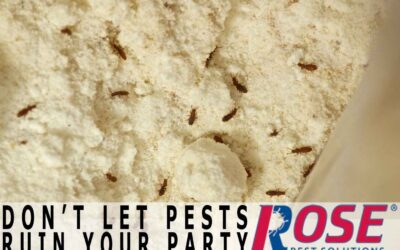 Don’t Let Pantry Pests Ruin Your Party!