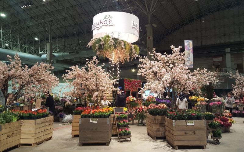 Chicago Flower and Garden Show Photos 2016