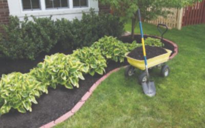 Spring Cleaning and Pest Proofing the House Go Hand-in-Hand!