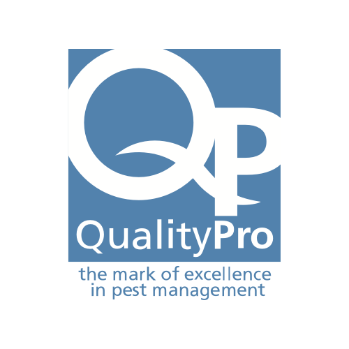Quality pro Logo Quality pro Logo