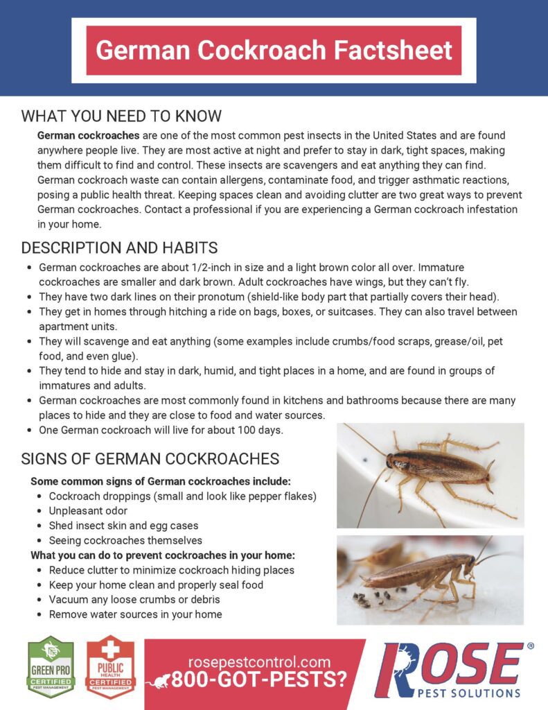 Rose German Cockroach Factsheet german cockroach fact sheet