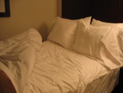 How NOT to get bed bugs on your summer vacation