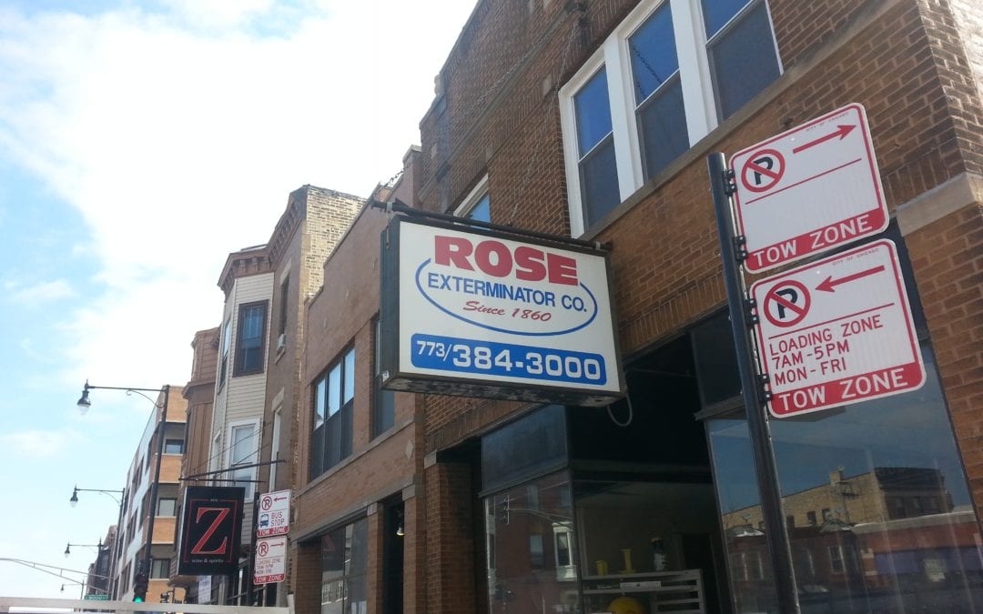 Rose Pest Solutions Wicker Park Storefront gets a makeover!