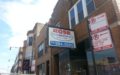 Rose Pest Solutions Wicker Park Storefront gets a makeover!
