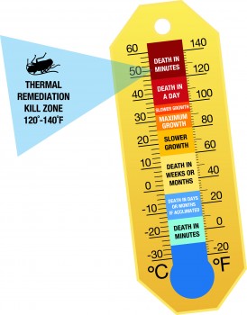 Outdoor thermometer indicating warm weather, pest activity awareness in Chicago, IL