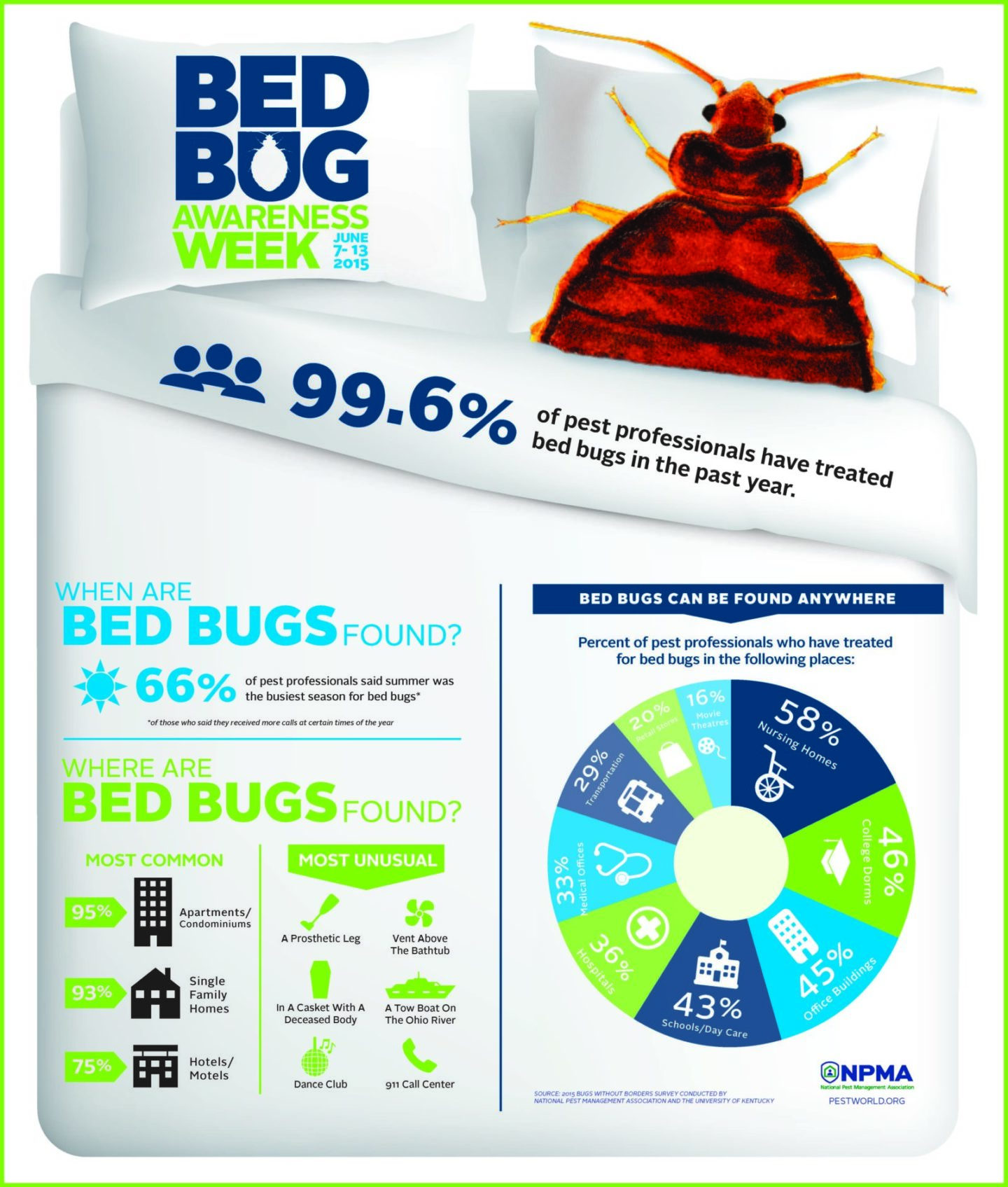Bed Bug Awareness Week infographic showing signs of bed bug infestations