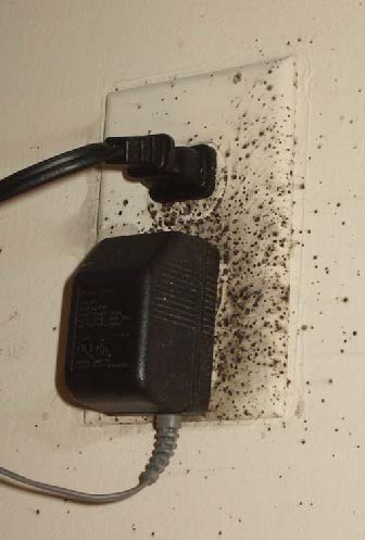 elecoutlet2