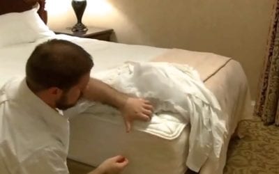 Make Sure Your Next Vacation Is Bed Bug Free!