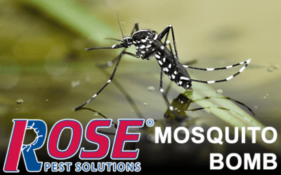 It’s A Mosquito Services Info Bomb!