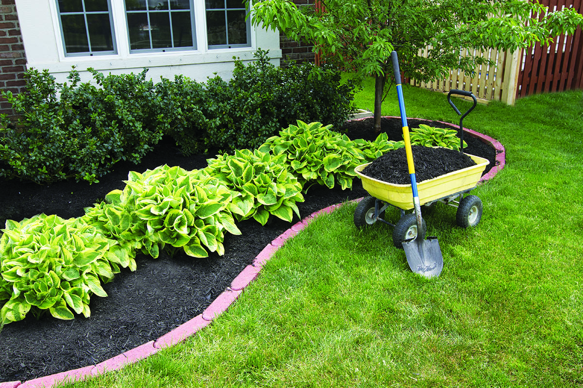 mulch-1.jpg mulch-1.jpg