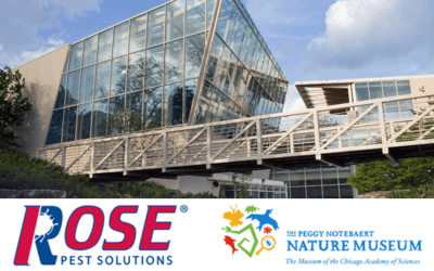 We’ve Partnered Up With The Nature Museum For A Big Summer Of Events!