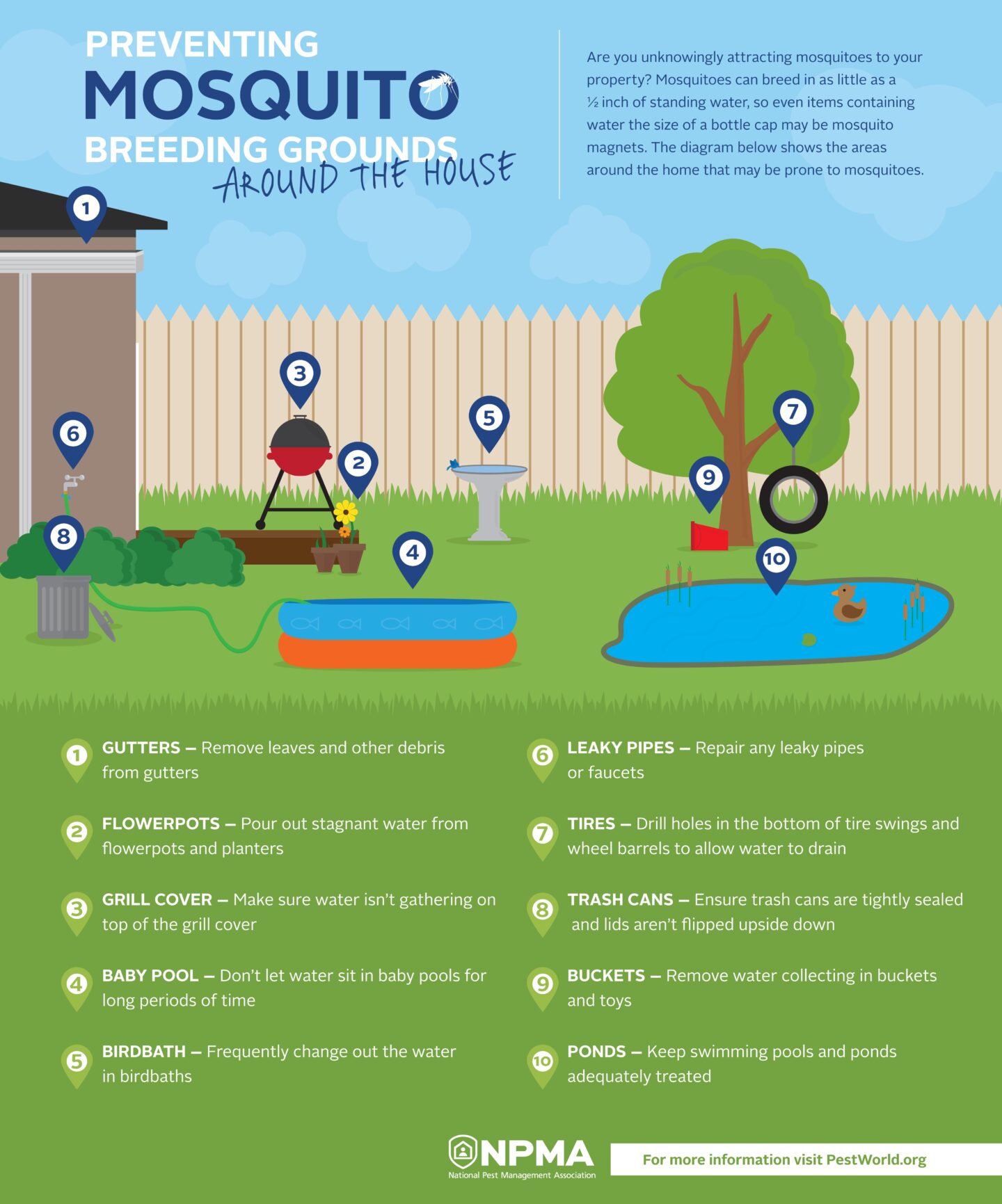 Mosquito breeding infographic identifying water sources around homes