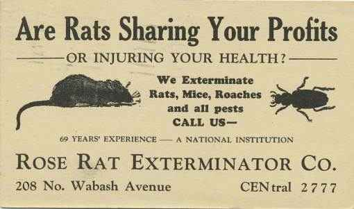 vintage Rose Rat Exterminator Postcard vintage Rose Rat Exterminator Postcard