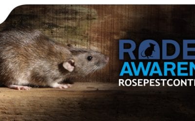 It’s Time for Rodent Awareness Week!