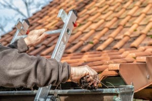 Man cleaning gutters by Rose Pest Solutions