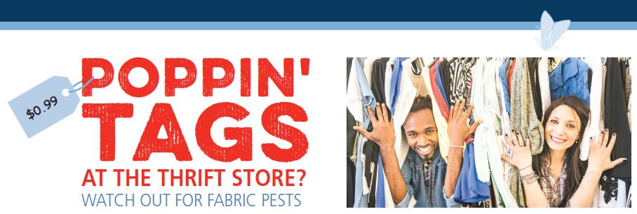 Poppin' tags at the thrift store