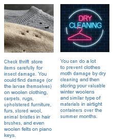 Close-up of holes in a wool sweater next to a neon dry cleaning sign, with text about preventing Winter Pests like moths from damaging your woolens.
