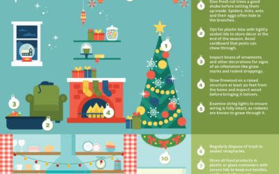Keys to Holiday Pest Proofing