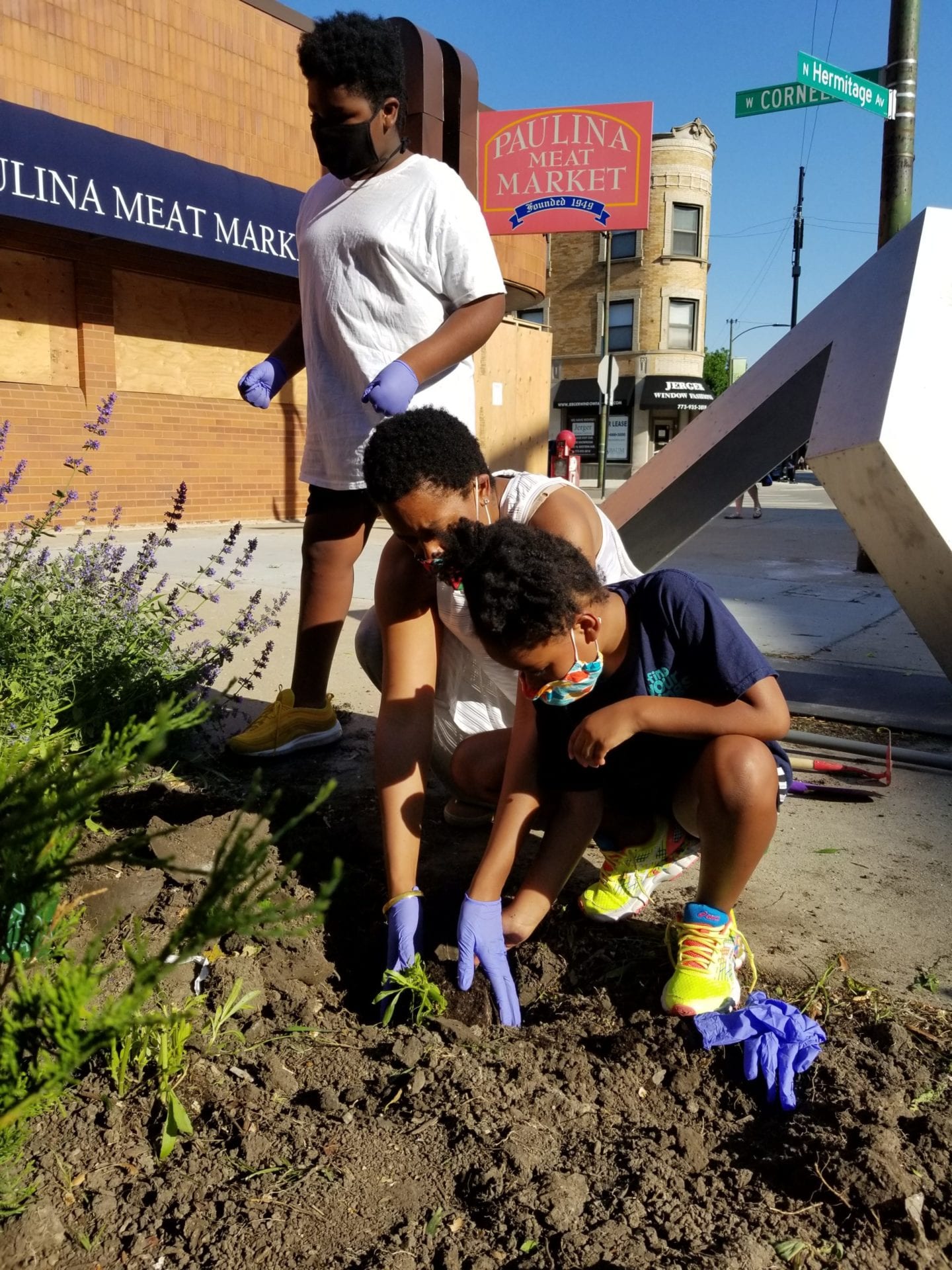 Three children wearing gloves and masks are planting seedlings in a garden bed near a street corner in front of a meat market, Planting Hope for a greener community.