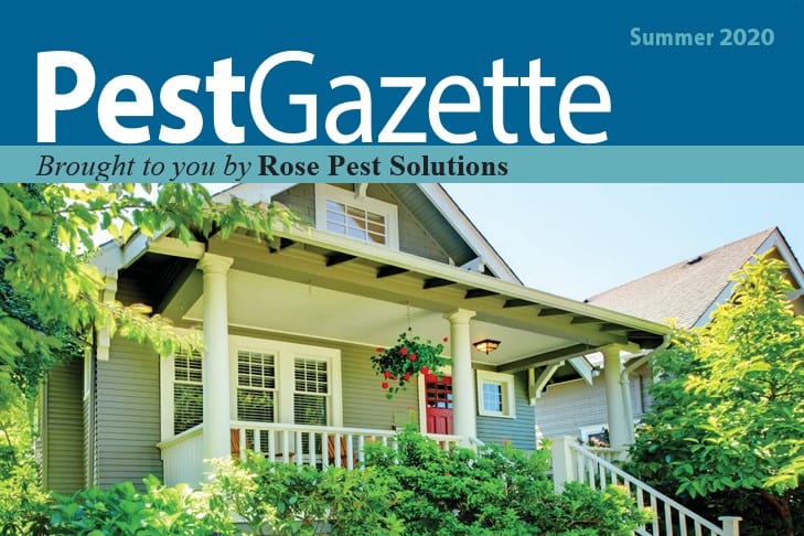 Rose Pest Solutions Gazette Newsletter Title Graphic
