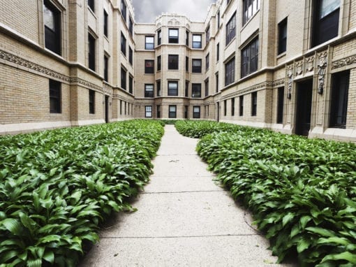 Pest Control for Landlords and Property Managers