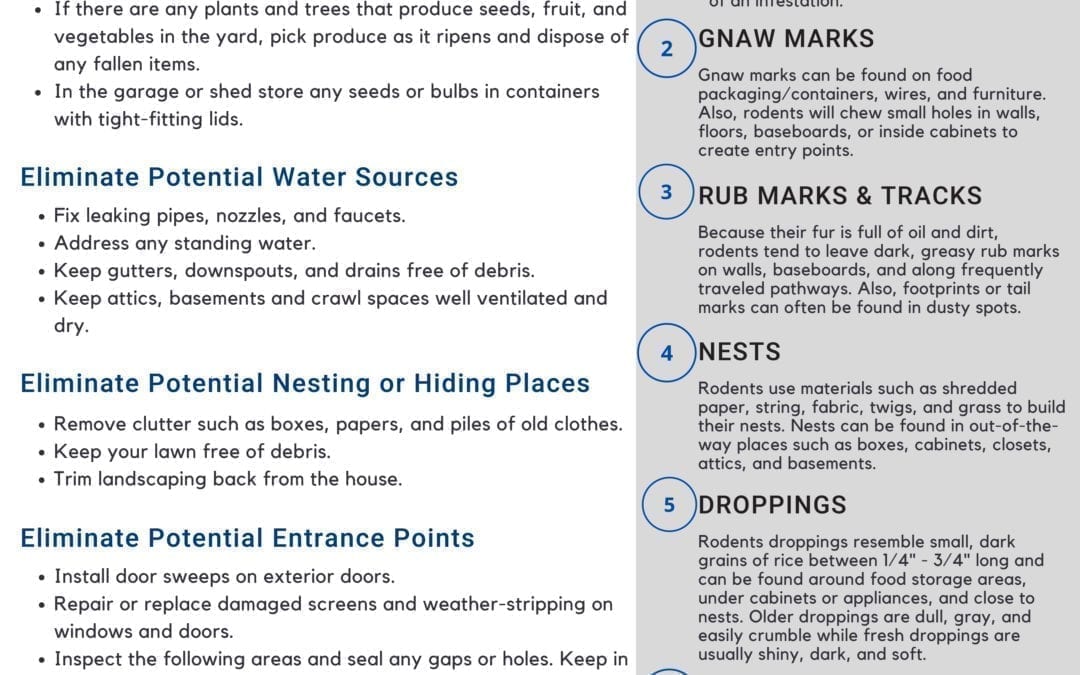 Rodent Awareness Week: How to Keep Rodents Out