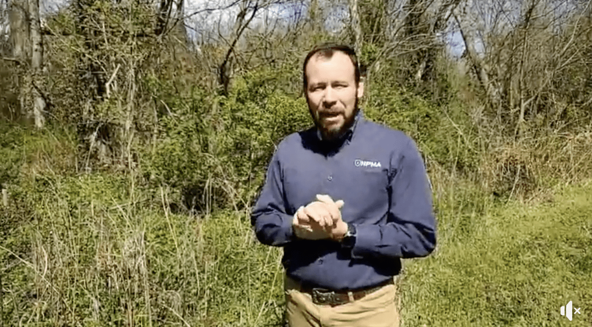 Man outdoors discussing pests in IL