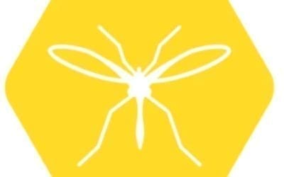 Get Rid of Mosquitos