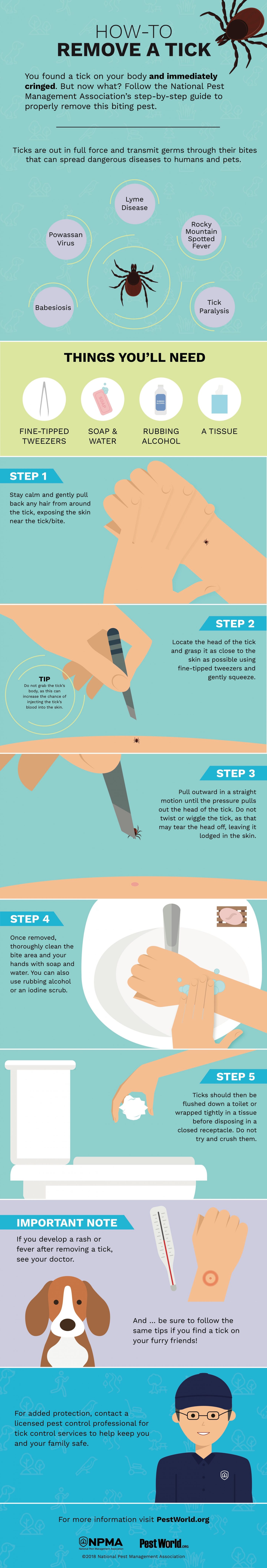 Tick removal infographic showing safe step-by-step removal instructions