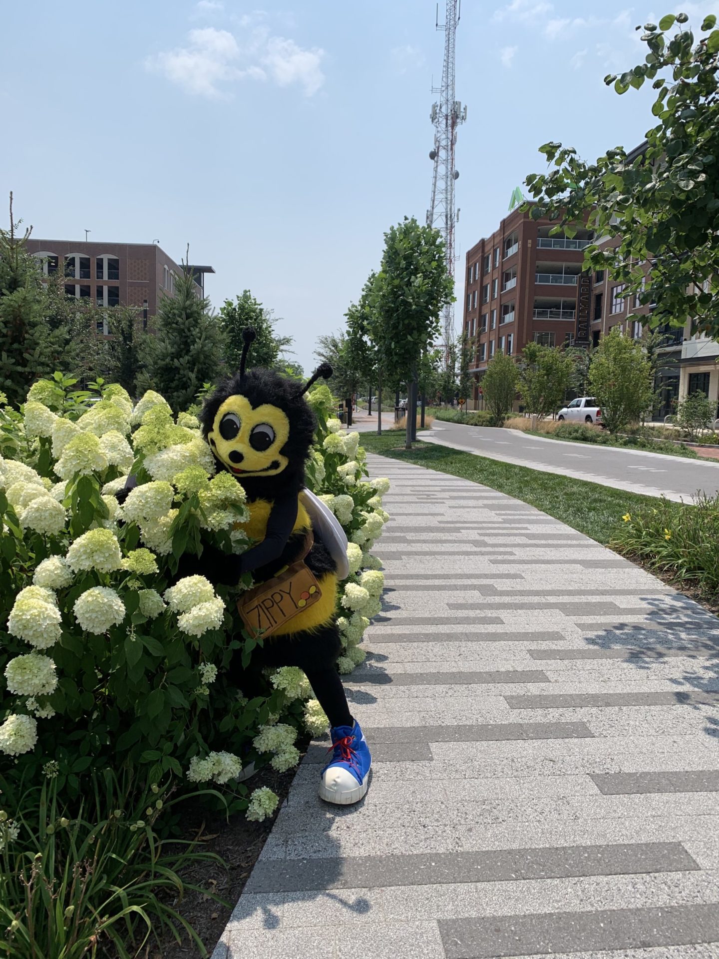 Zippy the bee in flowers in IL