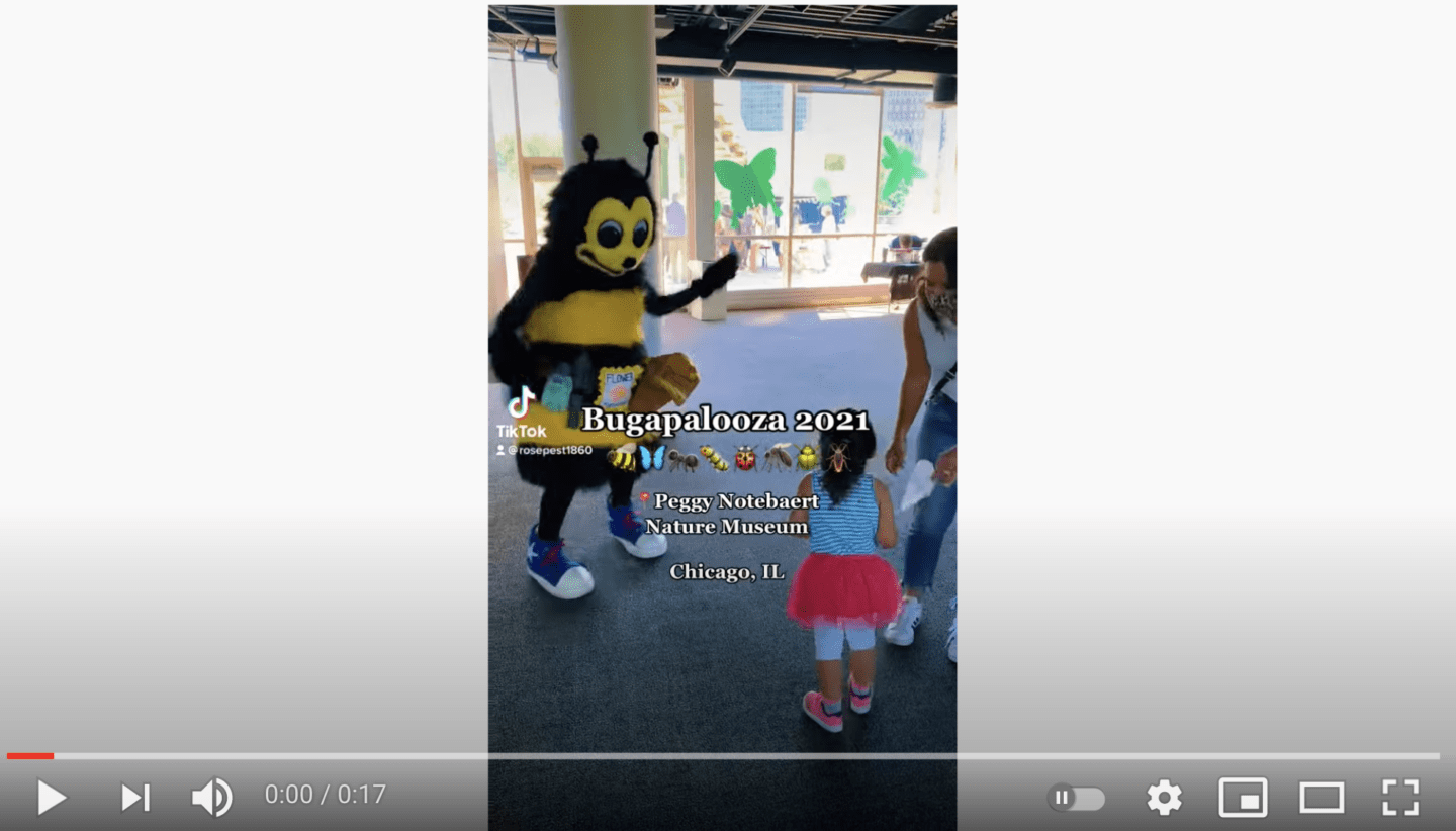 Person in a bee costume greets a small child and adult at Bugapalooza 2021, held at the Peggy Notebaert Nature Museum in Chicago, IL, during a fun back to school event, as seen in a TikTok video.