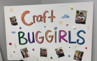 The chart of craft bug girls from rose pest children's school The chart of craft bug girls from rose pest children's school