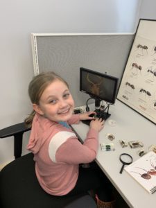 A young girl smiles at the camera while examining insect specimens with a microscope at her desk on Girl Scout Spark Day, with an insect chart and magnifying glass visible nearby.