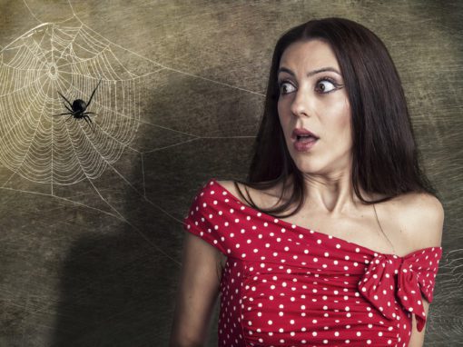 afraid of spiders