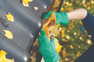 Leaves In Gutter