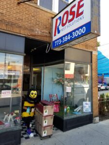 Rose children's book donations