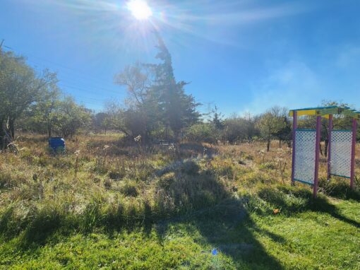 butterfly garden before pic