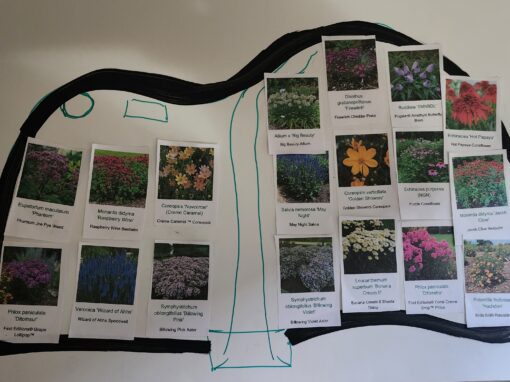 butterfly garden naperville design