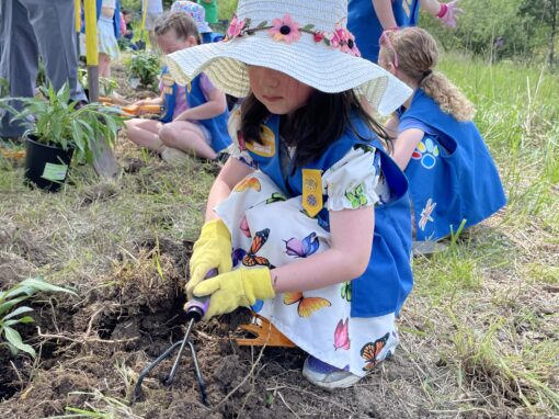 rose bug squad plants pollinator garden naperville
