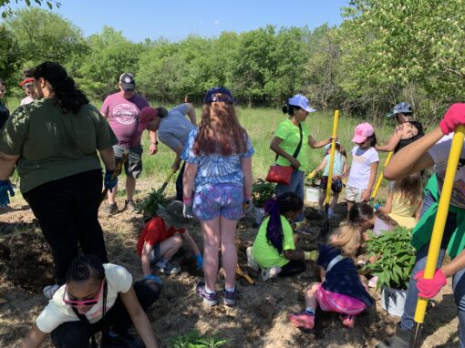 girl scout planting day naperville butterfly garden