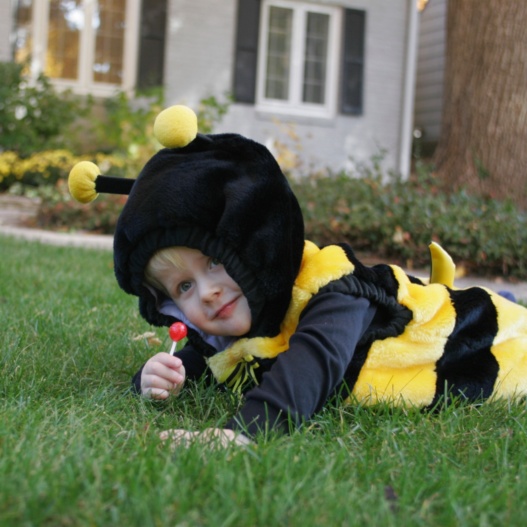 Bobby Dold, son of Bob Dold dressed in a black and yellow bee costume lies on grass holding a red lollipop, with a house and garden protected by Rose Pest Solutions visible in the background.
