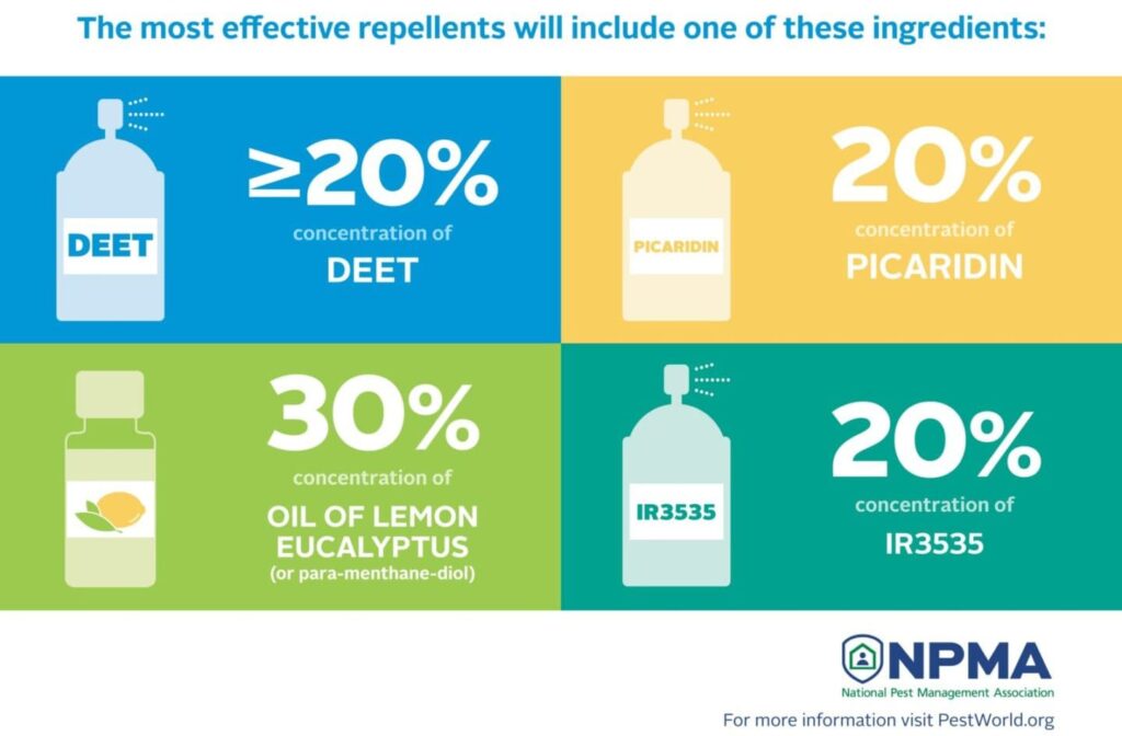 Ingredients of what most effective repellent contains