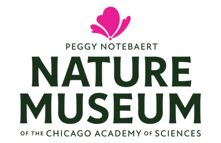 big-PNNM 2024 Logo for the Peggy Notebaert Nature Museum of the Chicago Academy of Sciences, featuring a pink stylized butterfly above the text—a striking symbol perfect for nature lovers and those interested in northfield pest control.