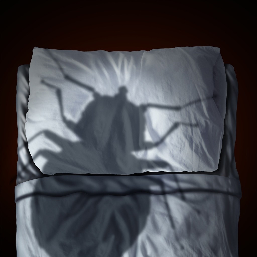 Shadow image of a Bug showing Bed Bug prevention by Rose Pest Solutions at Chicago and Beloit, USA.