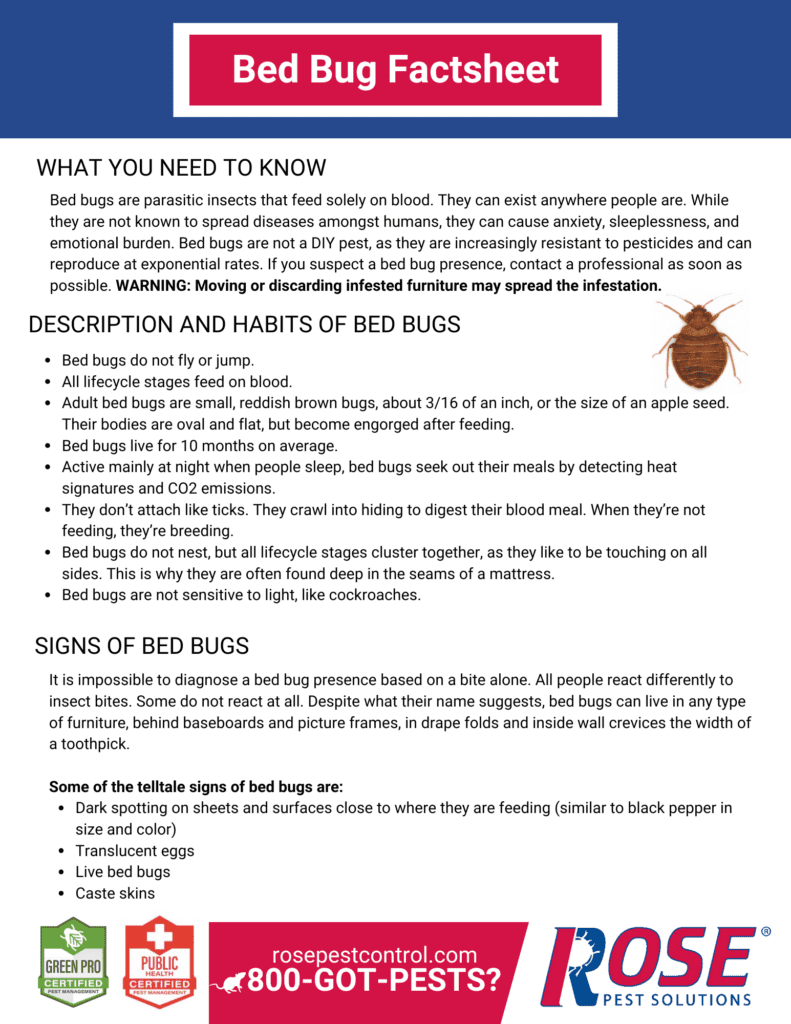 Bed bug factsheet showing signs, habits, and prevention tips