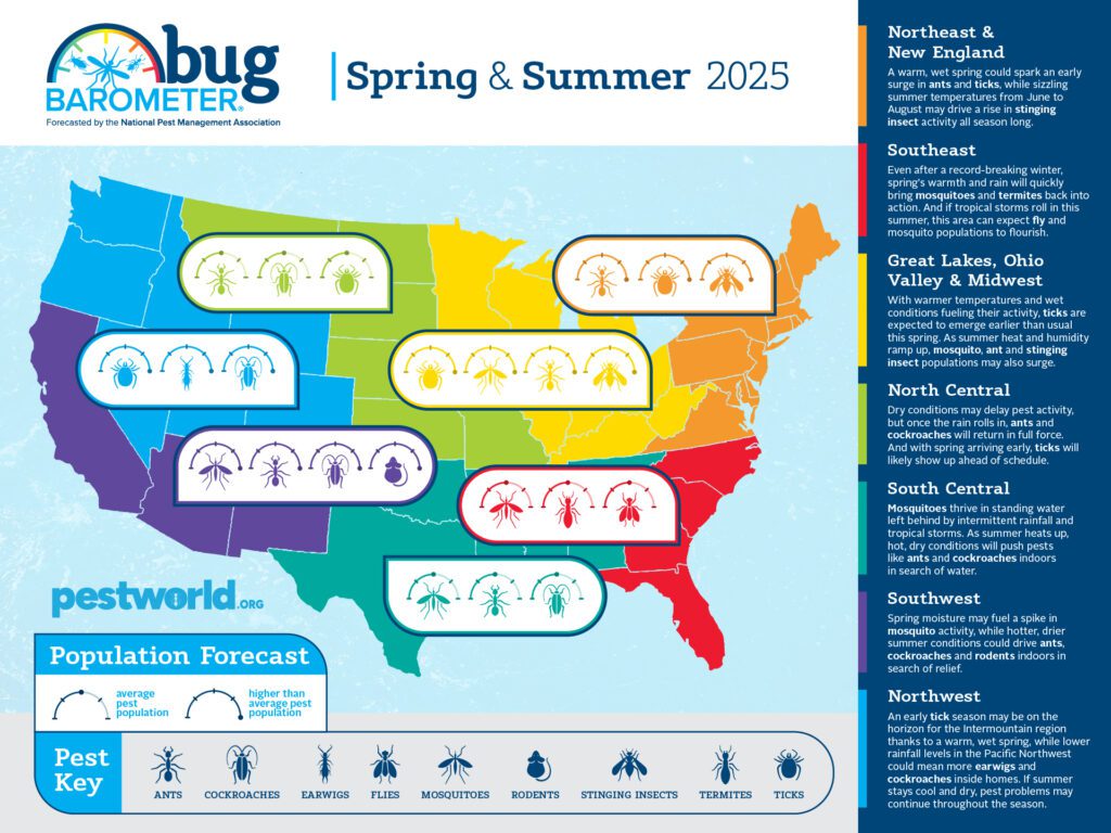 spring/summer 2025 bug barometer