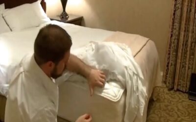 Bed Bug FAQ
